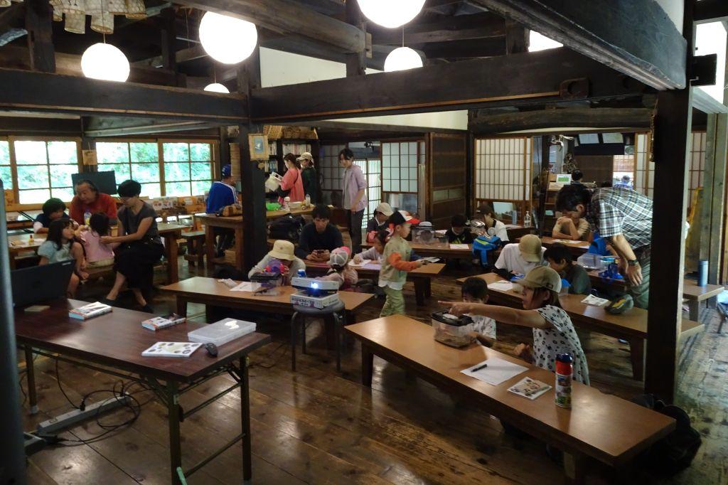 採集あとは図鑑で調べて発表です
