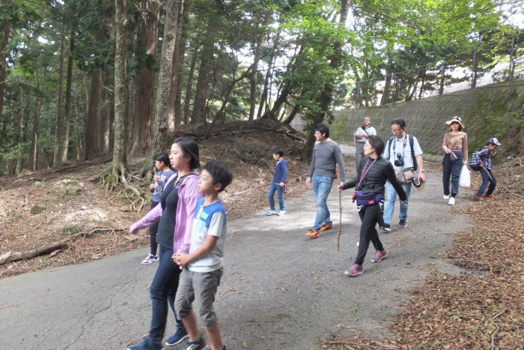 山道を歩いて下ります
