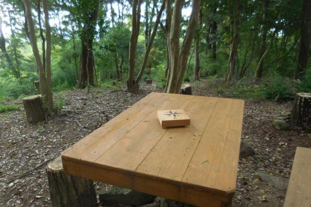 八ツ木天が峯（東方面が見渡せます）