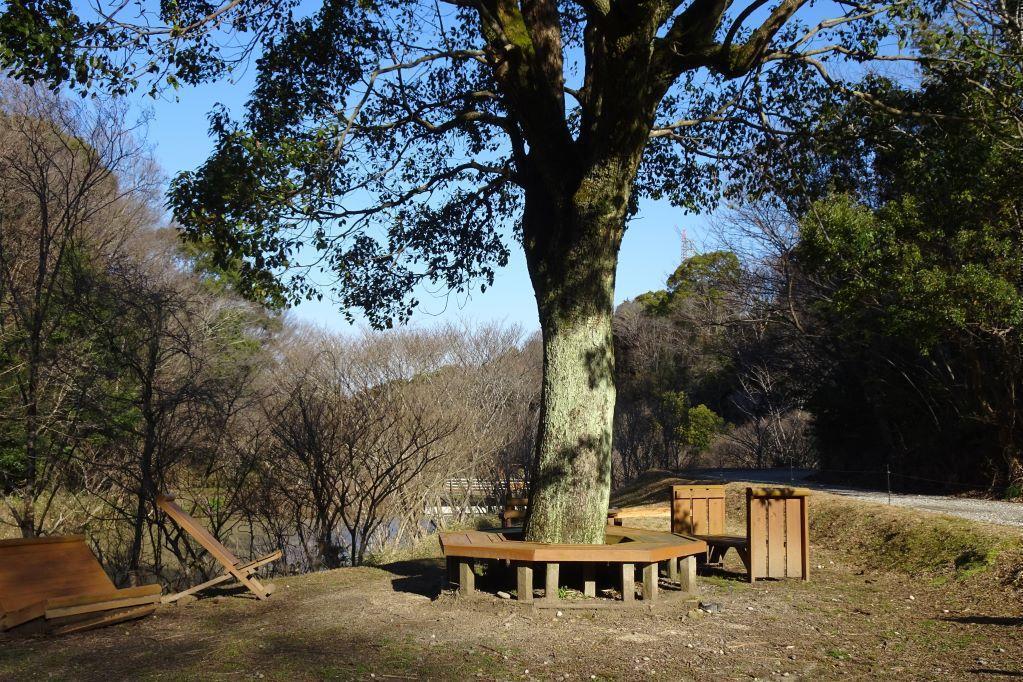 クスノキ広場の木陰で休憩できます