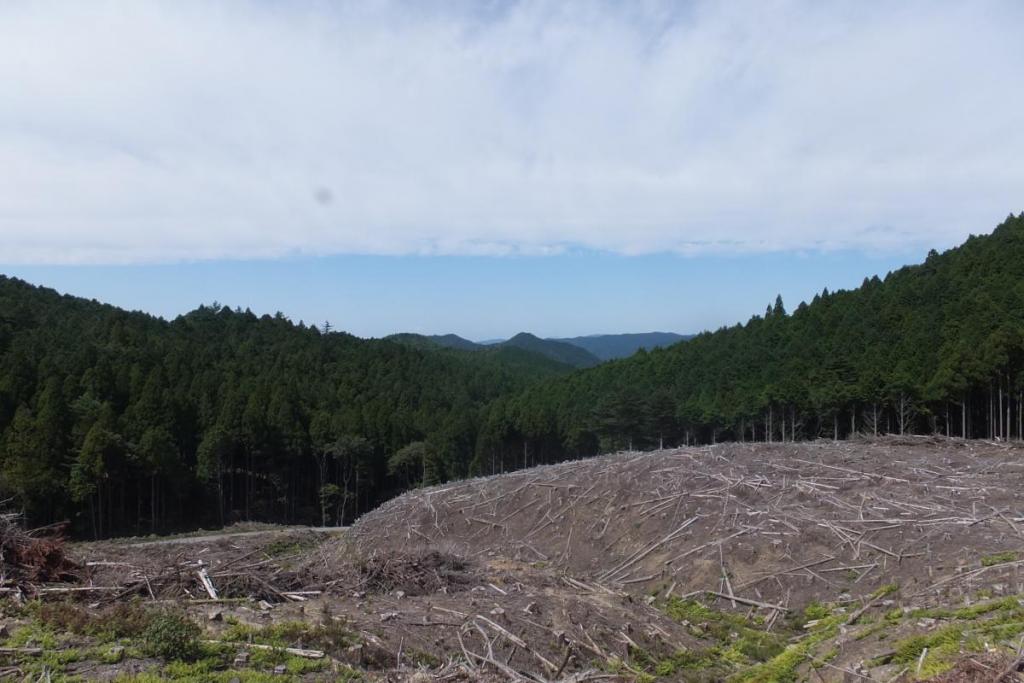途中の山道から。なかなかの絶景です