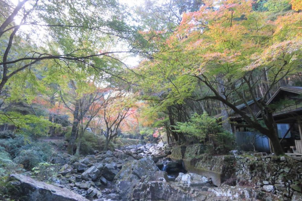 せせらぎ橋から