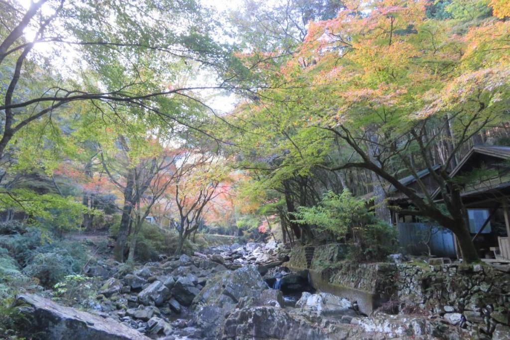 せせらぎ橋から