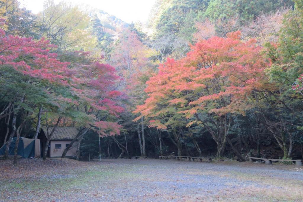 花の木広場とかえで並木
