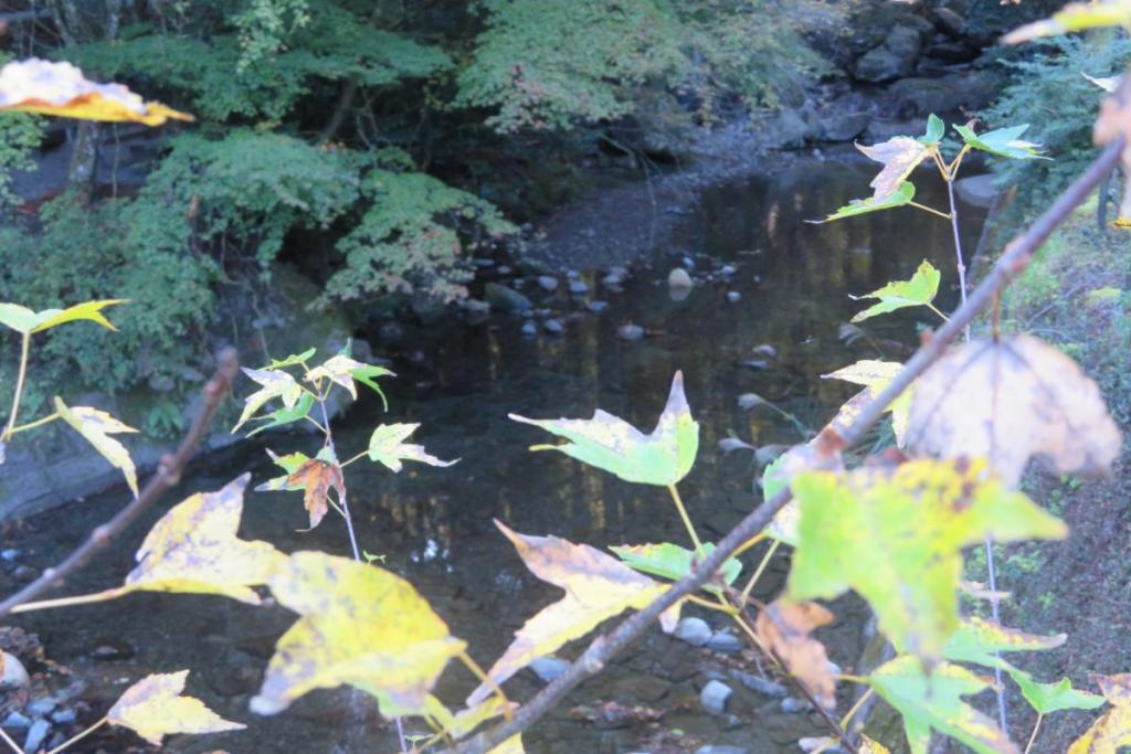 追分橋とせせらぎ