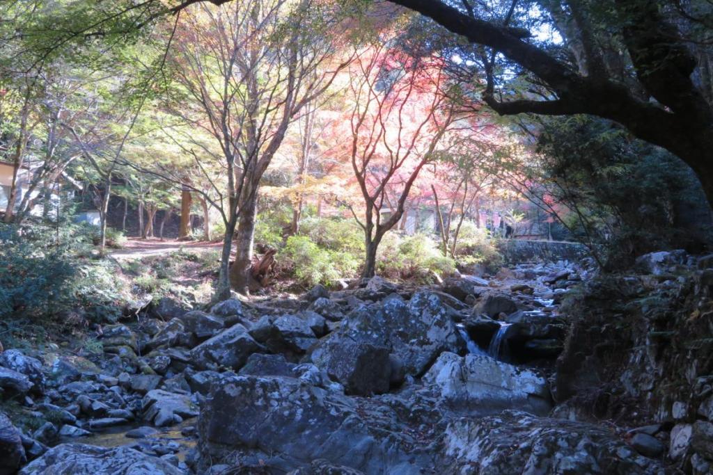 せせらぎ橋から