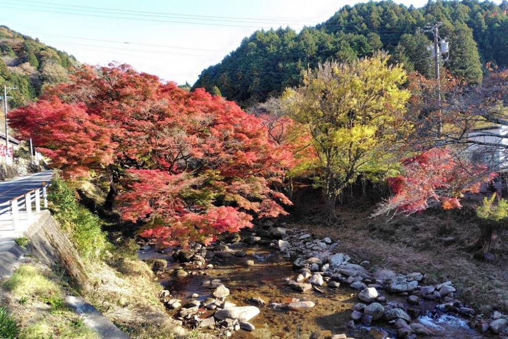 2025年11月20日の様子