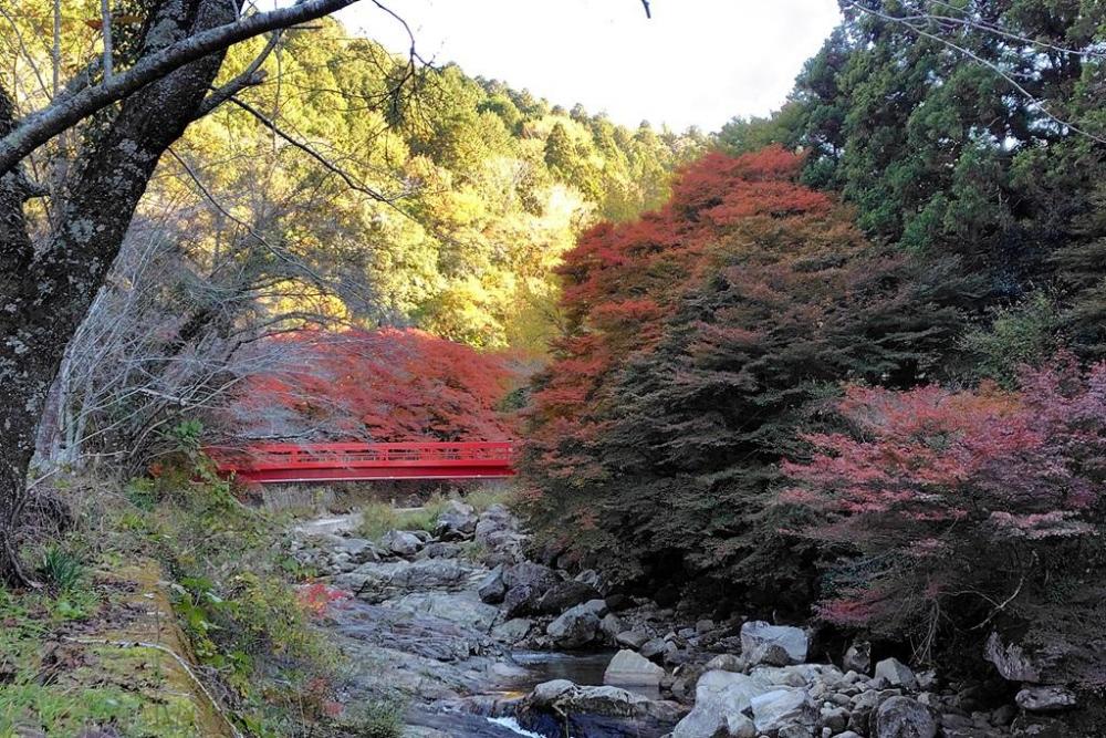 2025年11月20日の様子