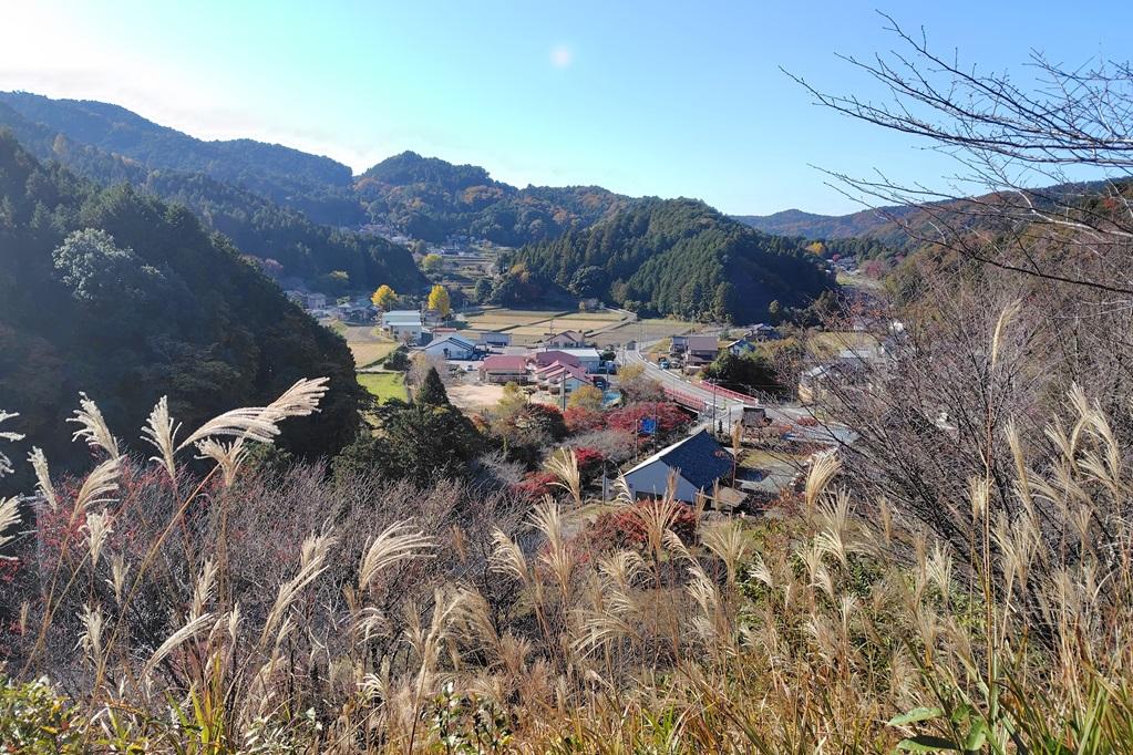 日近城跡中腹から望むかおれ渓谷