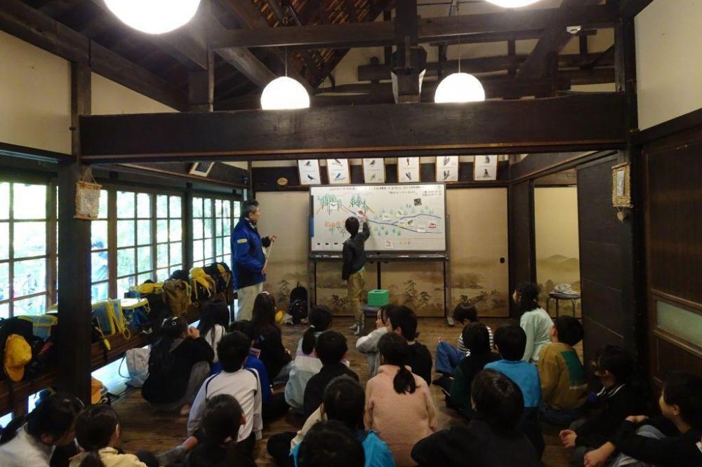 生きものについて