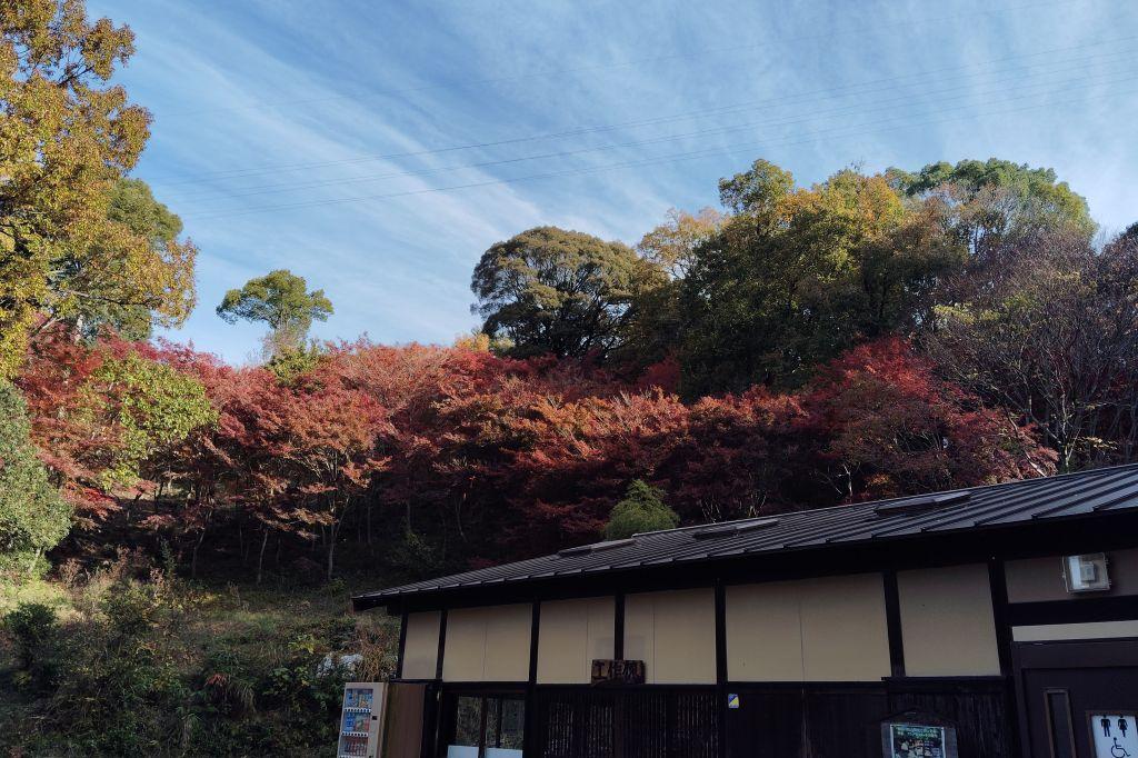 工作棟のトイレは広く整備されています。（多目的にはおむつ交換台あり）