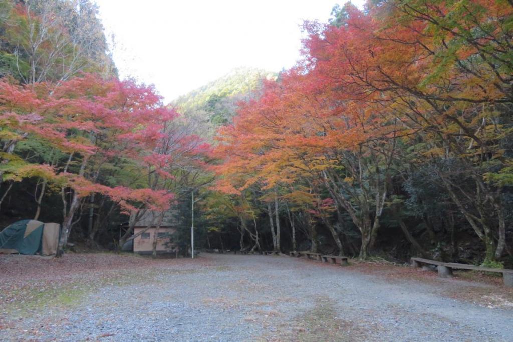 花の木広場・かえで並木
