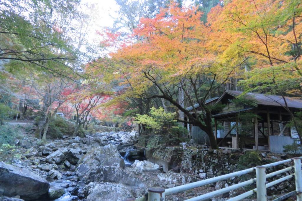 せせらぎ橋から