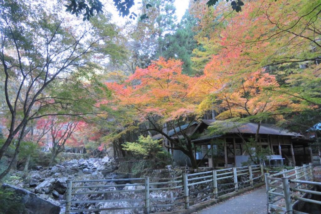 せせらぎ橋から