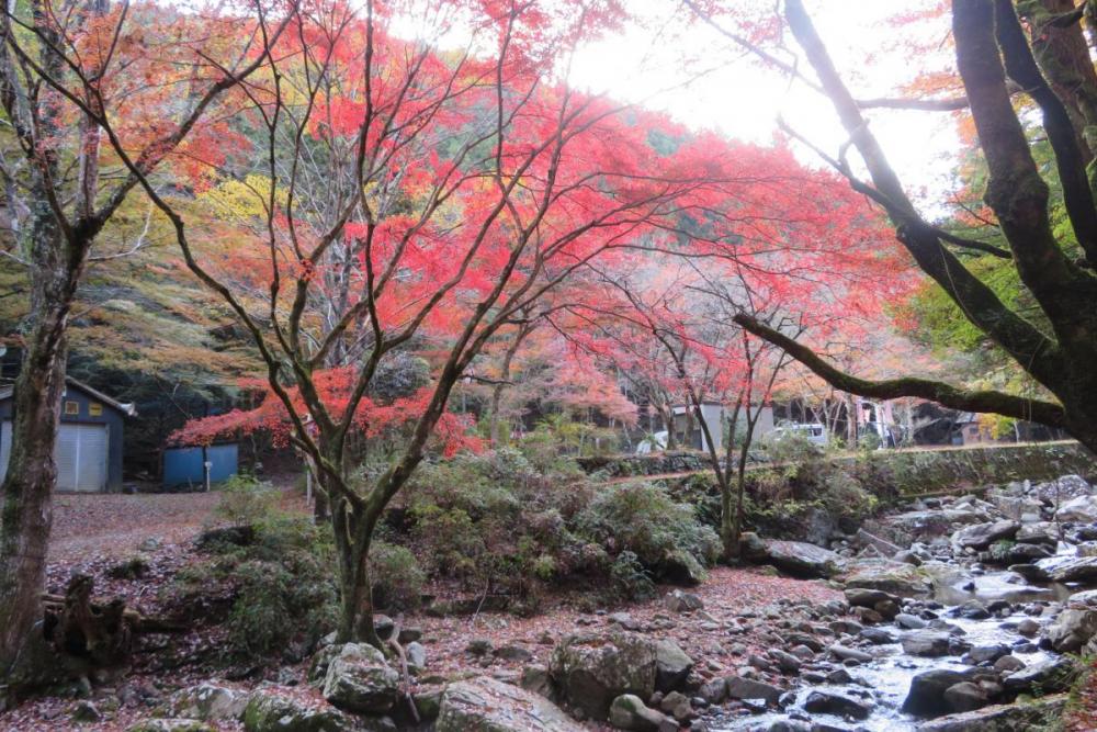 せせらぎ橋から