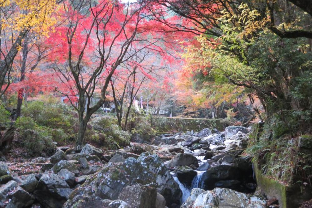 せせらぎ橋から