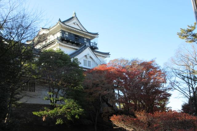 2025年度岡崎城公園の紅葉情報はこちら！｜新着情報｜岡崎城公園｜岡崎