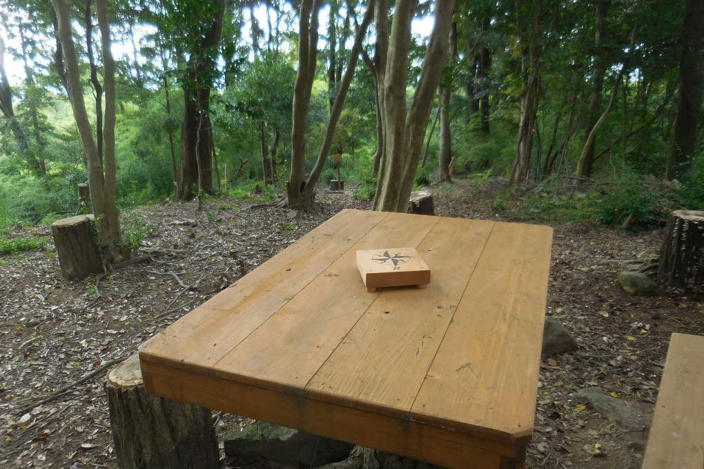 八ツ木天が峯（東方面が見渡せます）