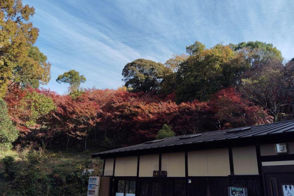 工作棟のトイレは広く整備されています。（多目的にはおむつ交換台あり）