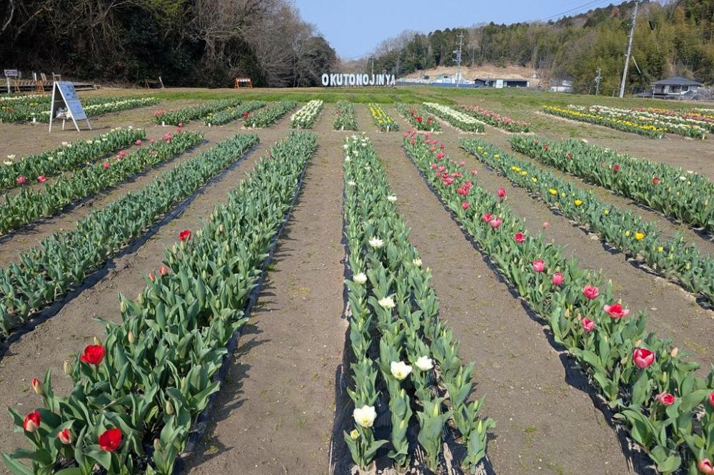 中央から撮影