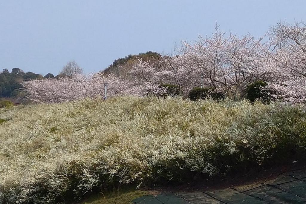 であい橋からの景色