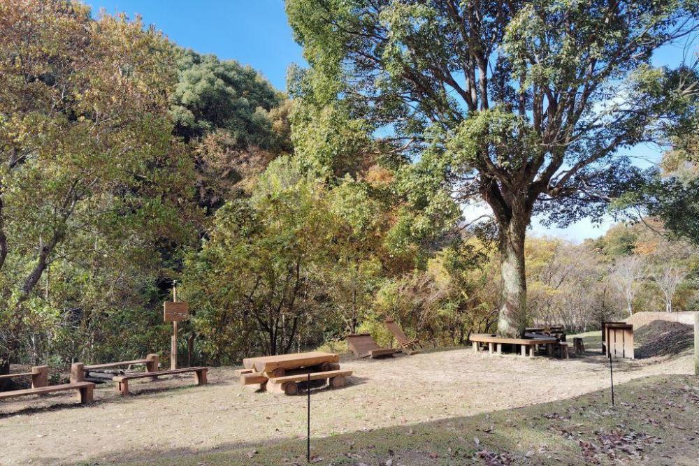 クスノキ広場の木陰で休憩できます