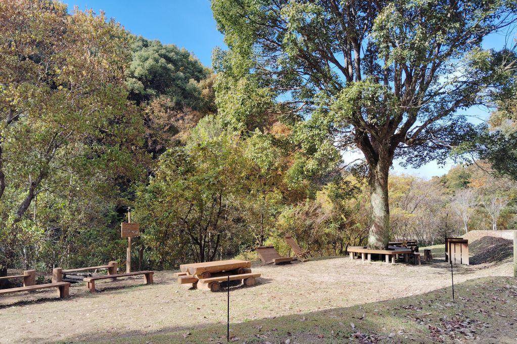 クスノキ広場の木陰で休憩できます