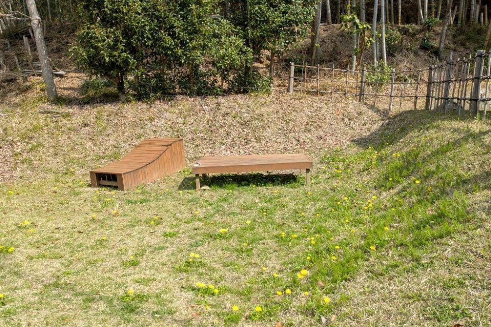 タンポポ一杯！