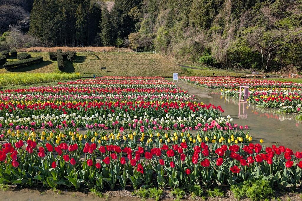 大雨の影響を受け、広く水たまりがあります。ご注意ください。