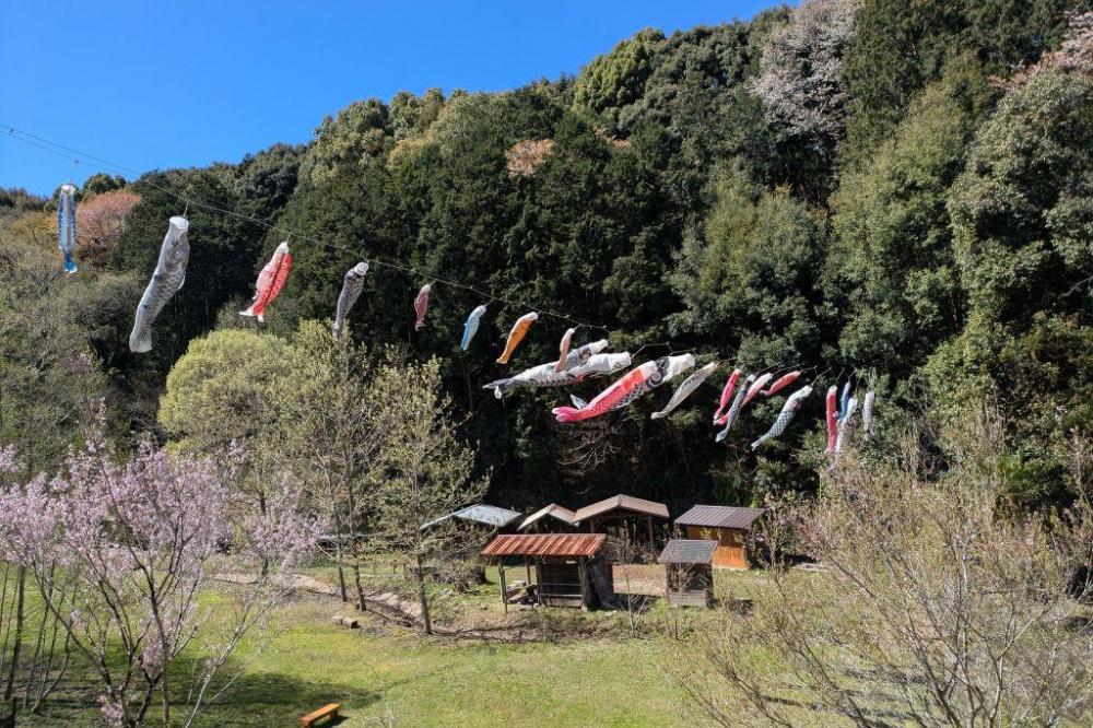 今年も「谷の鯉のぼり」設置！