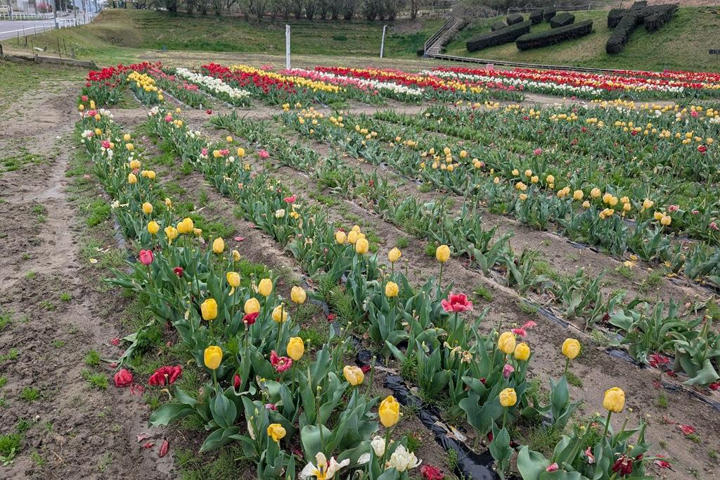 寂しいところもあります