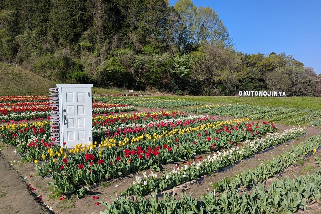 畑は半分程終えています