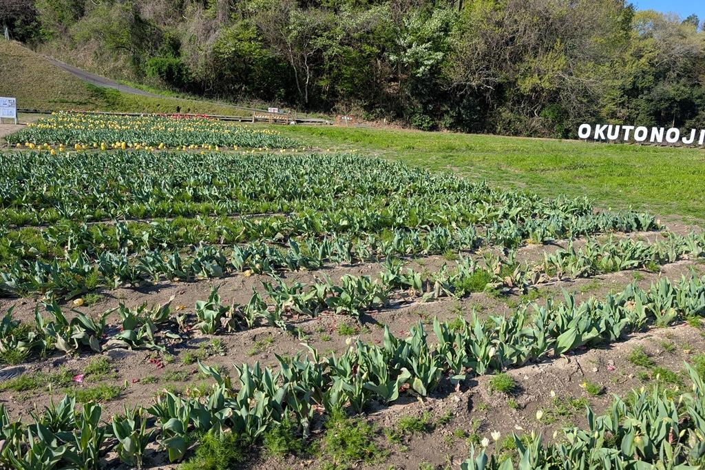 寂しいところもあります