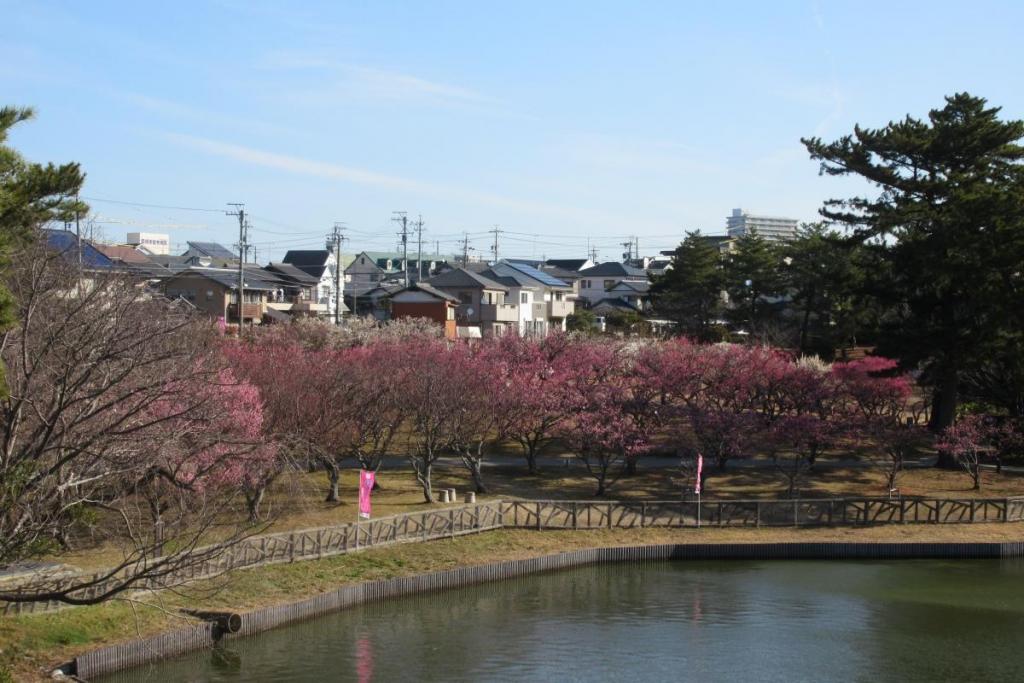 全景1