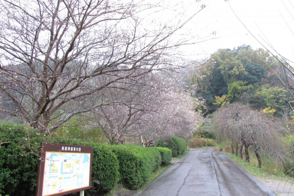 こんな感じで並んでいます。