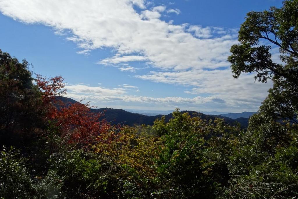 遊山からの眺めもなかなかです