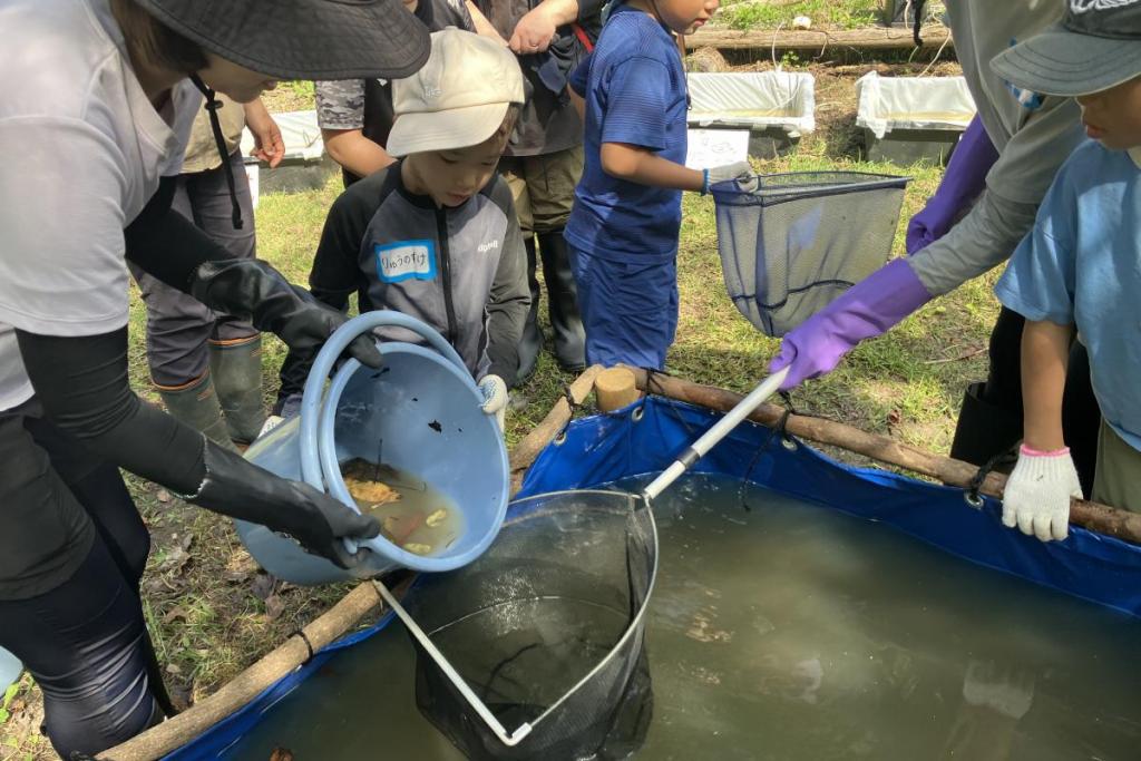 採れた魚をまずビニルプールへ