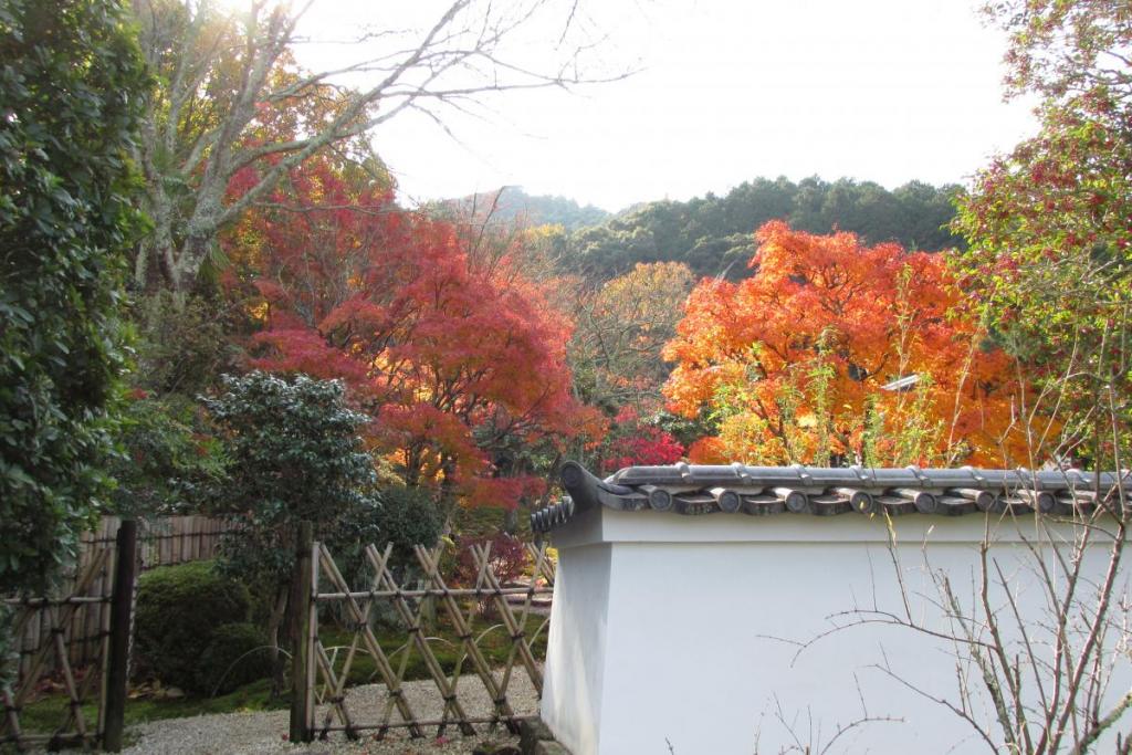 白壁と紅葉