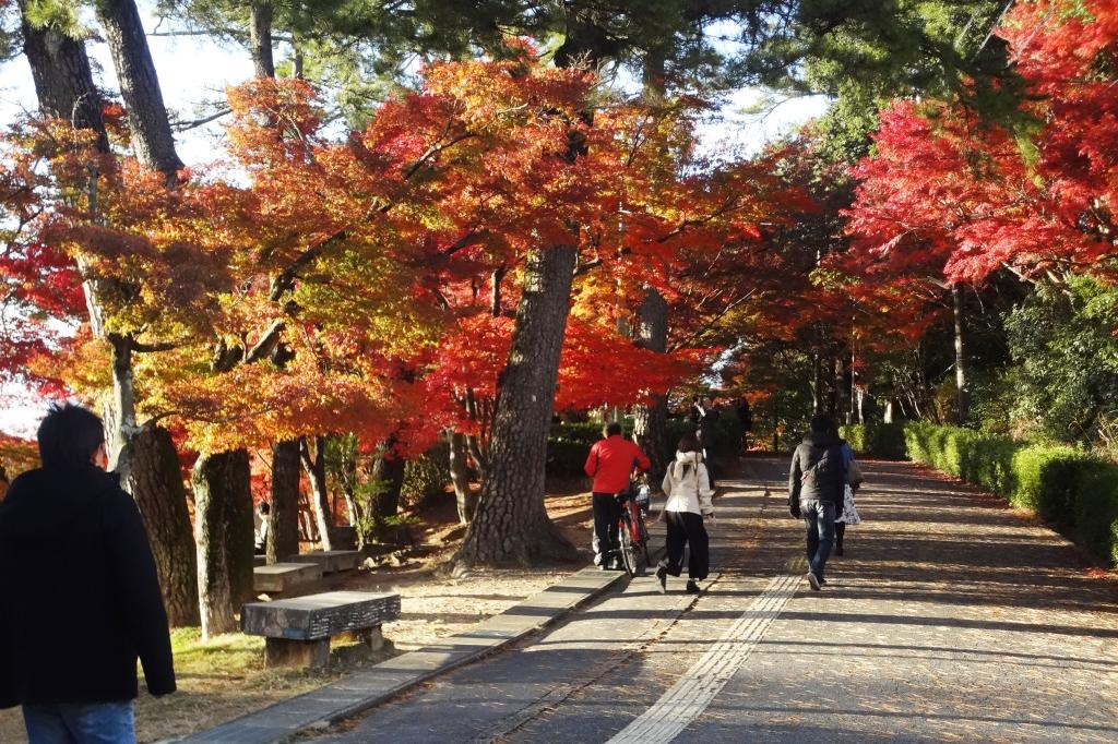 ちょ・・っと寒いですが。