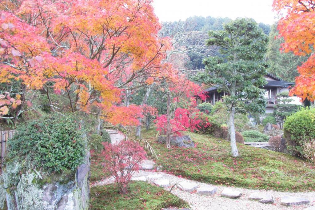 紅葉が全体に行き渡りました！