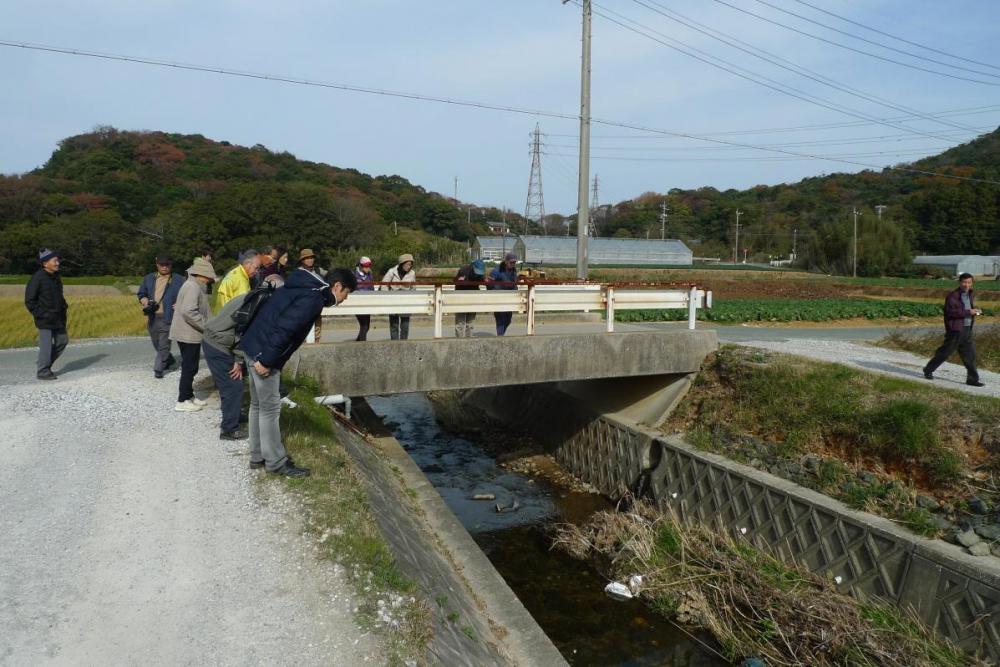 免々田川視察