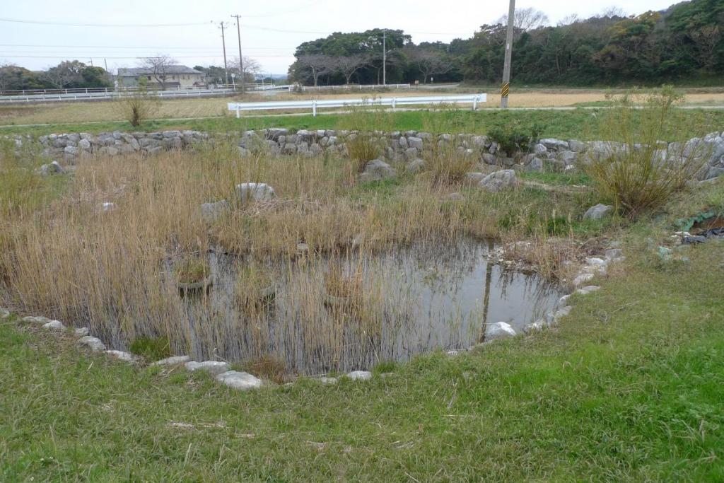 改修した河川