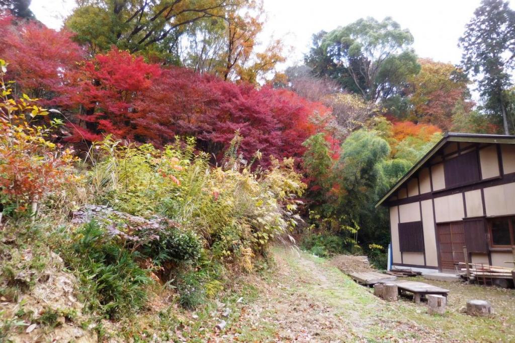 管理棟の付近もスポットのひとつ