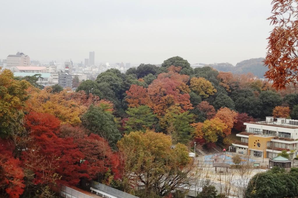 あらためて東公園は広いな・・。