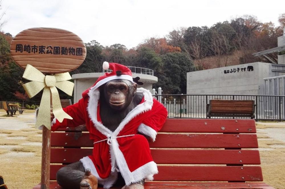 引き続き東公園をお楽しみください。メリークリスマス！