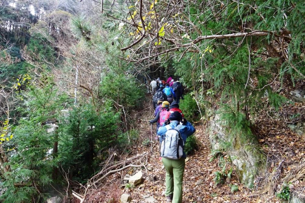 バラ園の登山口から沢山へ