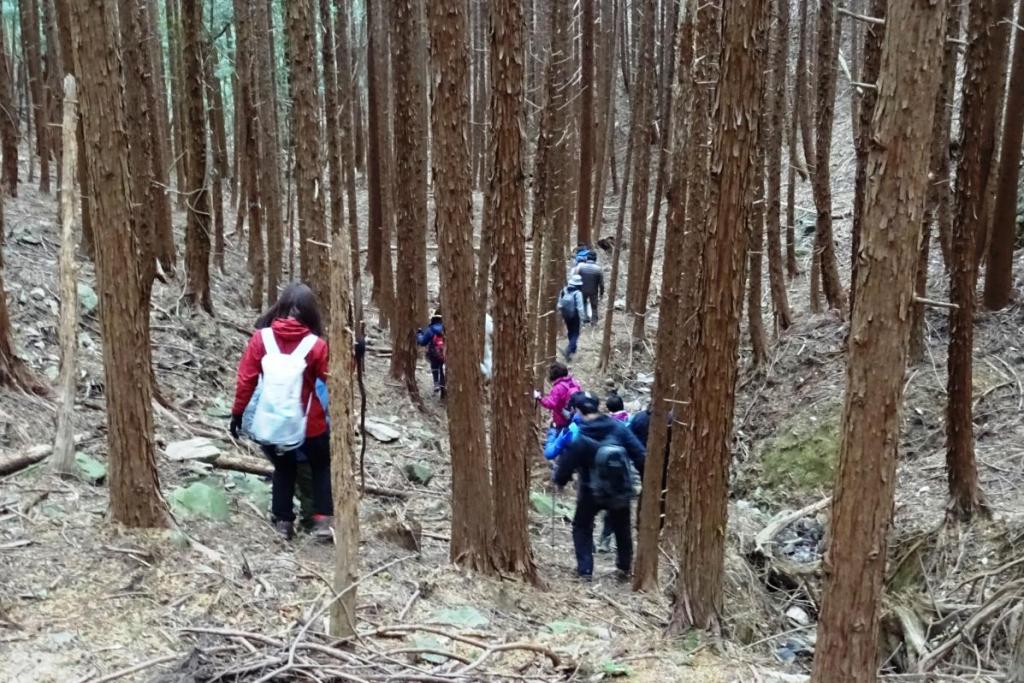 ユリ沢の急な道を下ります