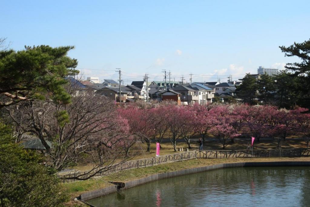 全景1