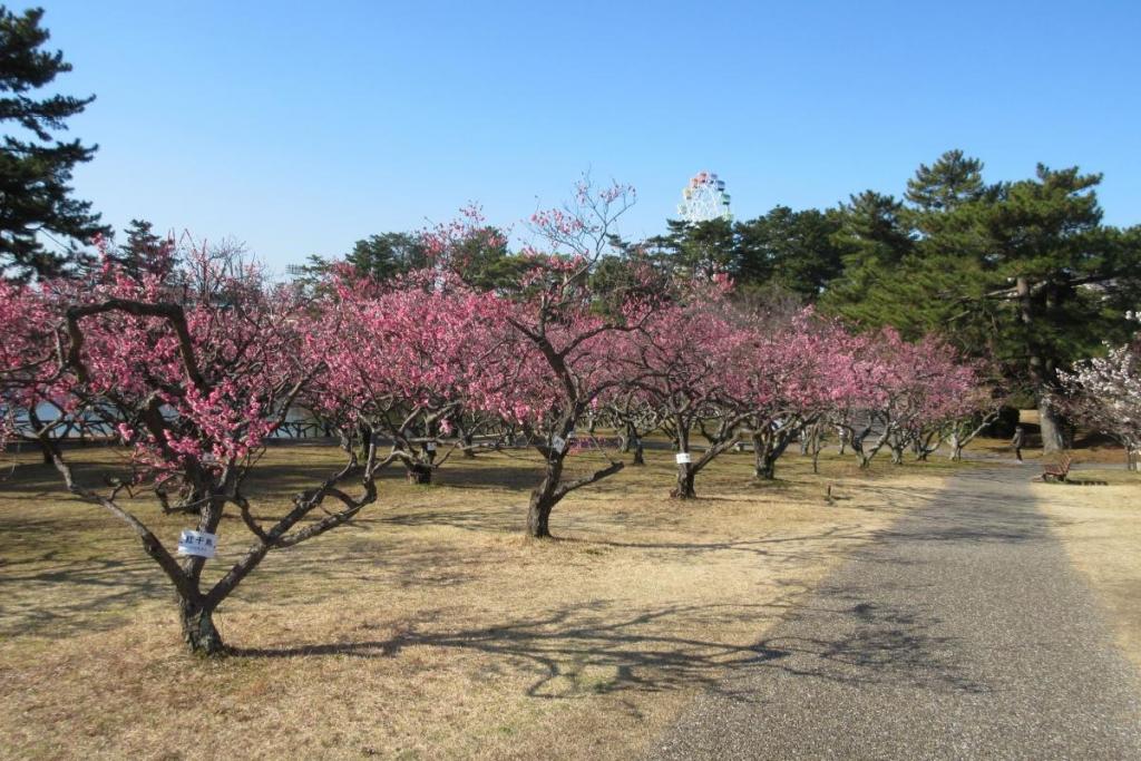 全景2