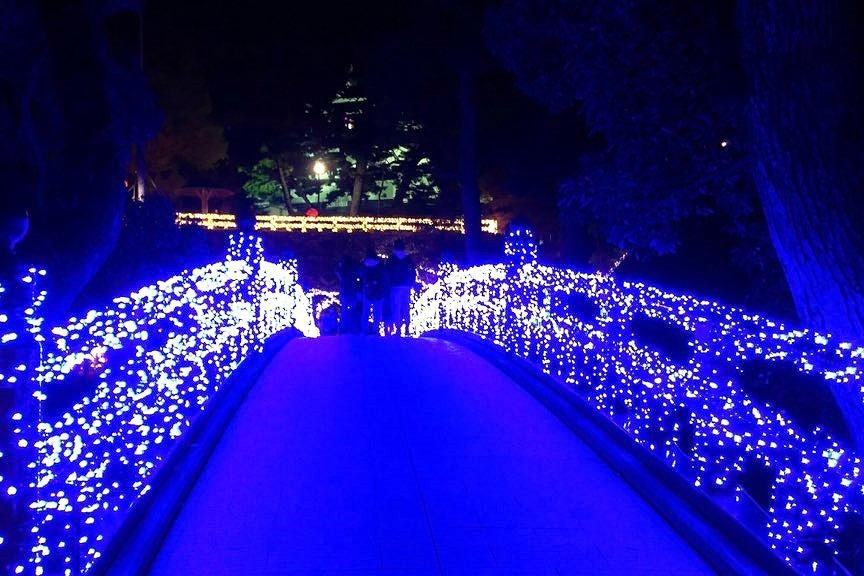 いつもは赤い神橋も、綺麗なブルーにおめかししていました！